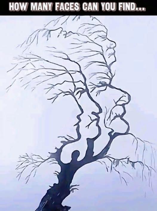 Find all hidden faces in the picture