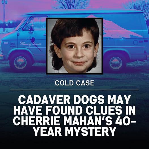 🕯️ For nearly 40 years, 8-year-old Cherrie Mahan’s disappearance haunted Pennsylvania. She vanished in 1985 after getting off her school bus—never seen again. Now, a new witness and cadaver dog alerts have reignited hope. Could the truth finally be within reach? 👉 Full story in the COMMENT.