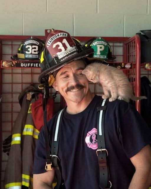 He ran into a burning building and emerged holding the tiniest, terrified kitten — and from that moment, she never left his shoulder. A firefighter’s bravery sparked an unbreakable bond that will melt your heart. 👉 Full story in the first comment 👇