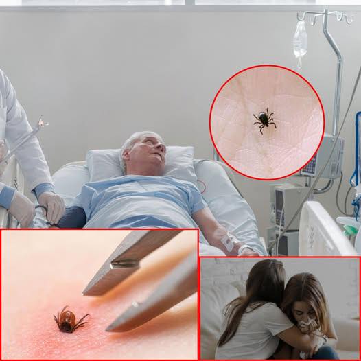 As the weather gets warmer, one Massachusetts family is sharing their heartbreaking story as a warning to others about a debilitating tick-borne disease.— (Full Details Below👇👇🏼👇🏼)