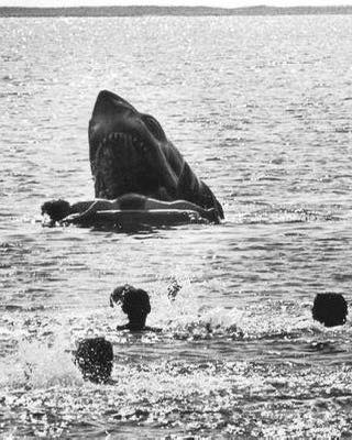 Look Closely 😱 This deleted scene from Jaws confirms what we all suspected… Check the comments👇👇