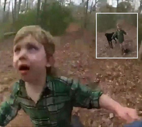 Missing Boy Emerges From Woods, State Troopers Stunned When They See What Animal’s By His Side…Details in the first comment👇⁬
