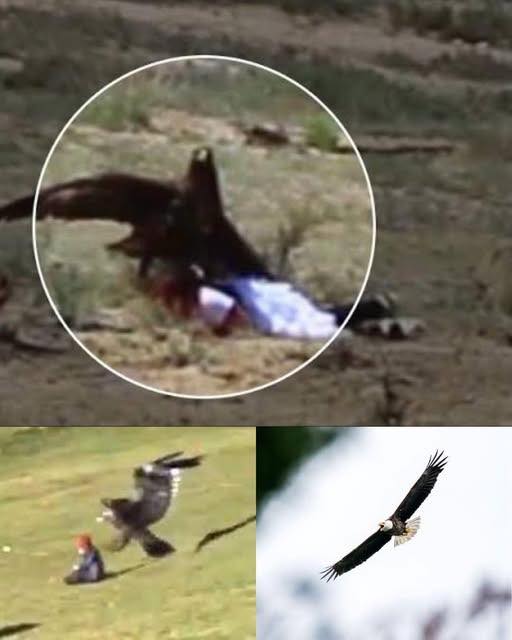 Massive Golden Eagle Tries to Snatch 8-Year-Old Girl—Terrifying Moment Caught on Video​😨🦅