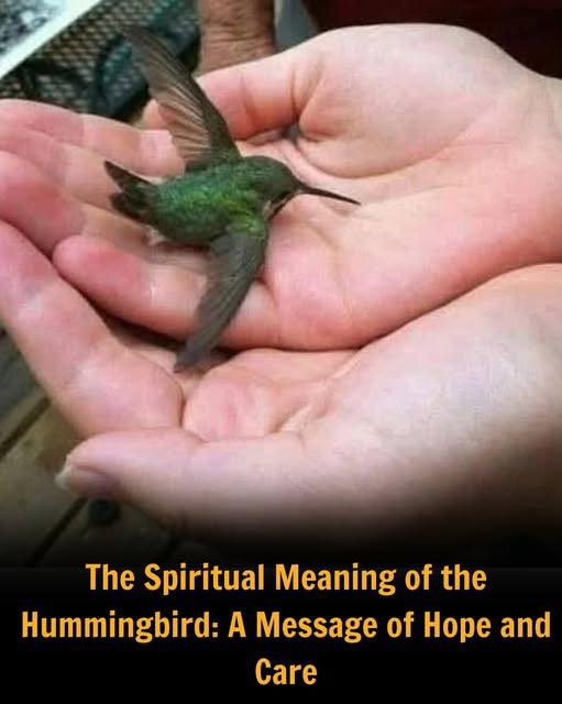 Did you know that if a hummingbird comes to your home, it means that… See more.