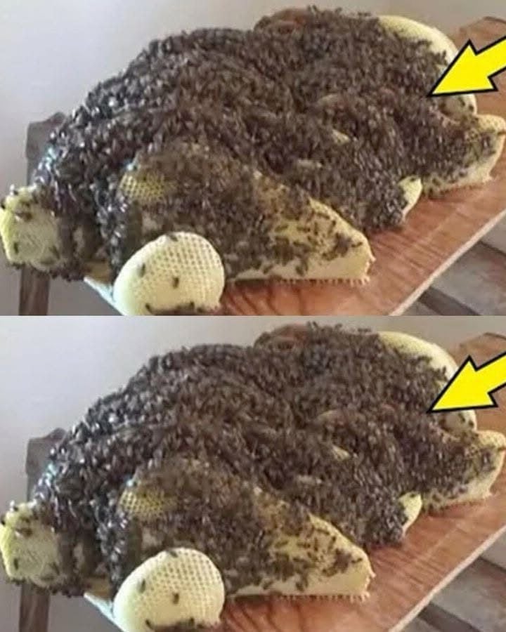 Scientists are sounding the a:larm! This is what they found a woman under her bed! Read more in 1st comment