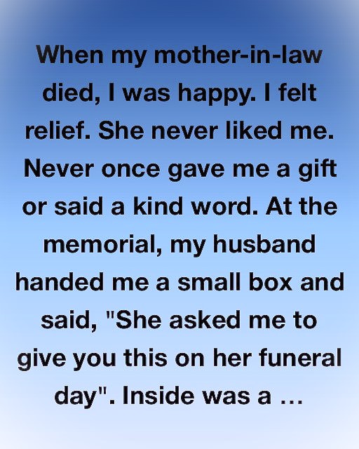 Inside the Box She Left Behind… A Truth I Never Expected