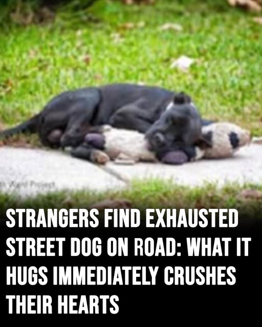 She couldn’t believe what she was seeing 🥹 (Check In First comment👇)