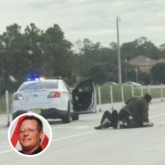 Court Rules on Case of Bystander Who Killed Man Attacking Officer (Check In First comment👇)