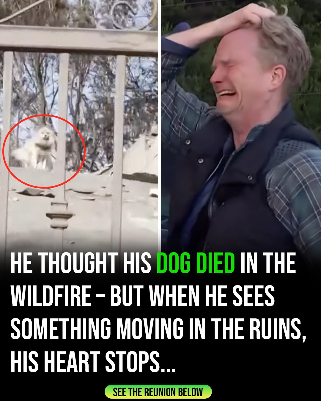 This reunion has been watched by millions, and the reason is clear… (Check In First comment👇)