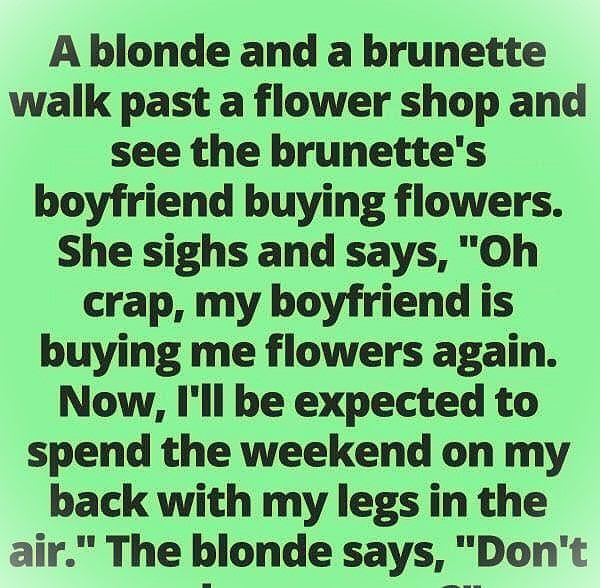 She Wasn’t Thrilled About the Flowers — Until the Blonde Fired Back!