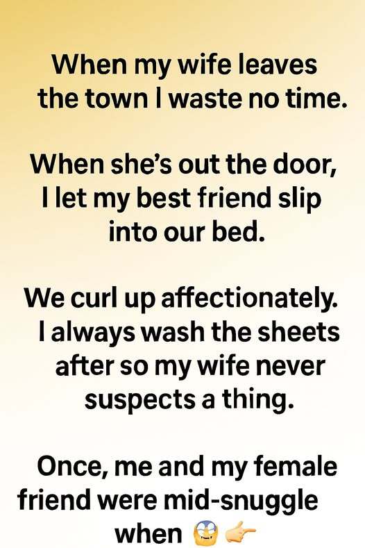 When Loneliness Was Solved by the Most Loyal Friend at Home