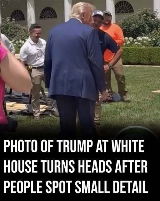 People Can’t Stop Noticing This Tiny Detail in Trump’s White House Photo (Check In First comment👇)