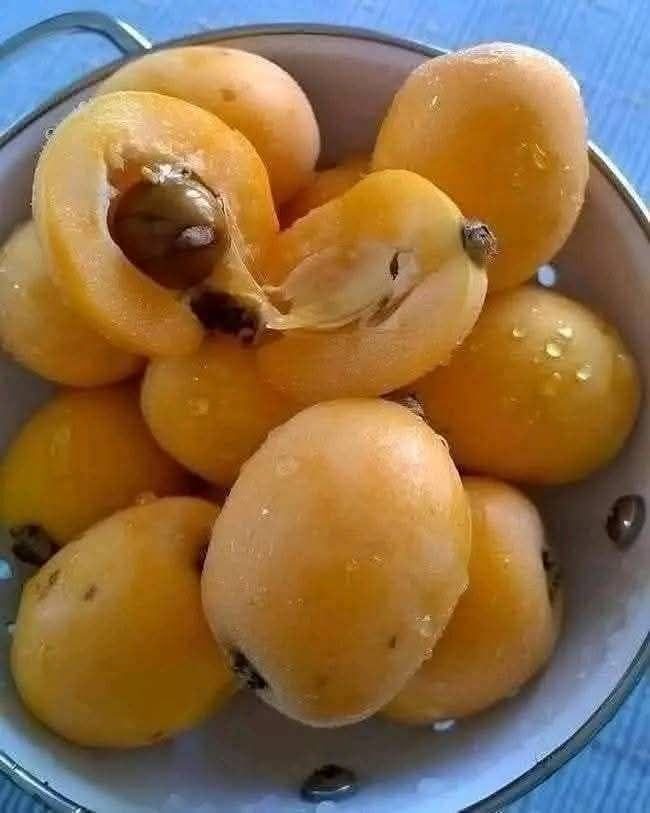 “I’ve spent my whole life searching for the name of this fruit.” 😐 Description at the beginning comment 👇🏻 Continued in the first comment 👇