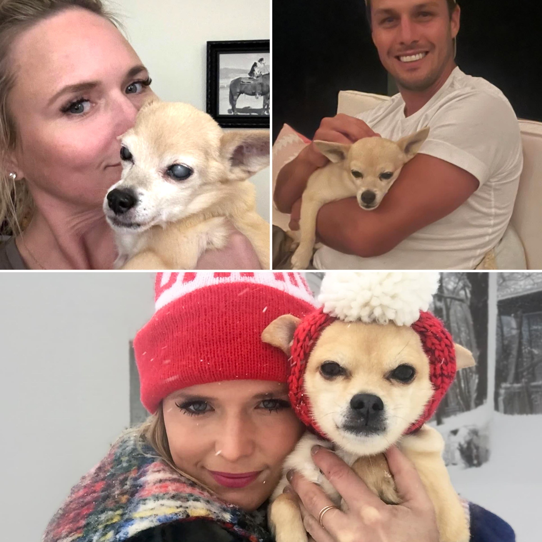 Miranda Lambert has lost her faithful companion, Cher, after 15 years together. The country singer shared an emotional tribute to the dog who walked every stage, attended every event, and stood loyally by her side. The loss comes during a challenging period for Miranda. (Check In First comment👇)