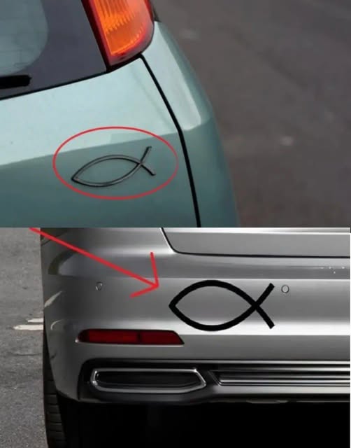 What does the small fish-shaped symbol on the back of some cars mean and what is it for? read more in coomment⬇️