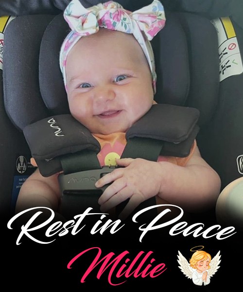 💔 Millie DeClercq, a precious little soul, passed away from a rare pediatric cancer at just 6 months old. 🙏 In her honor, her family has started a foundation to support other families facing pediatric cancer. 🕯️ (Check In First comment👇)