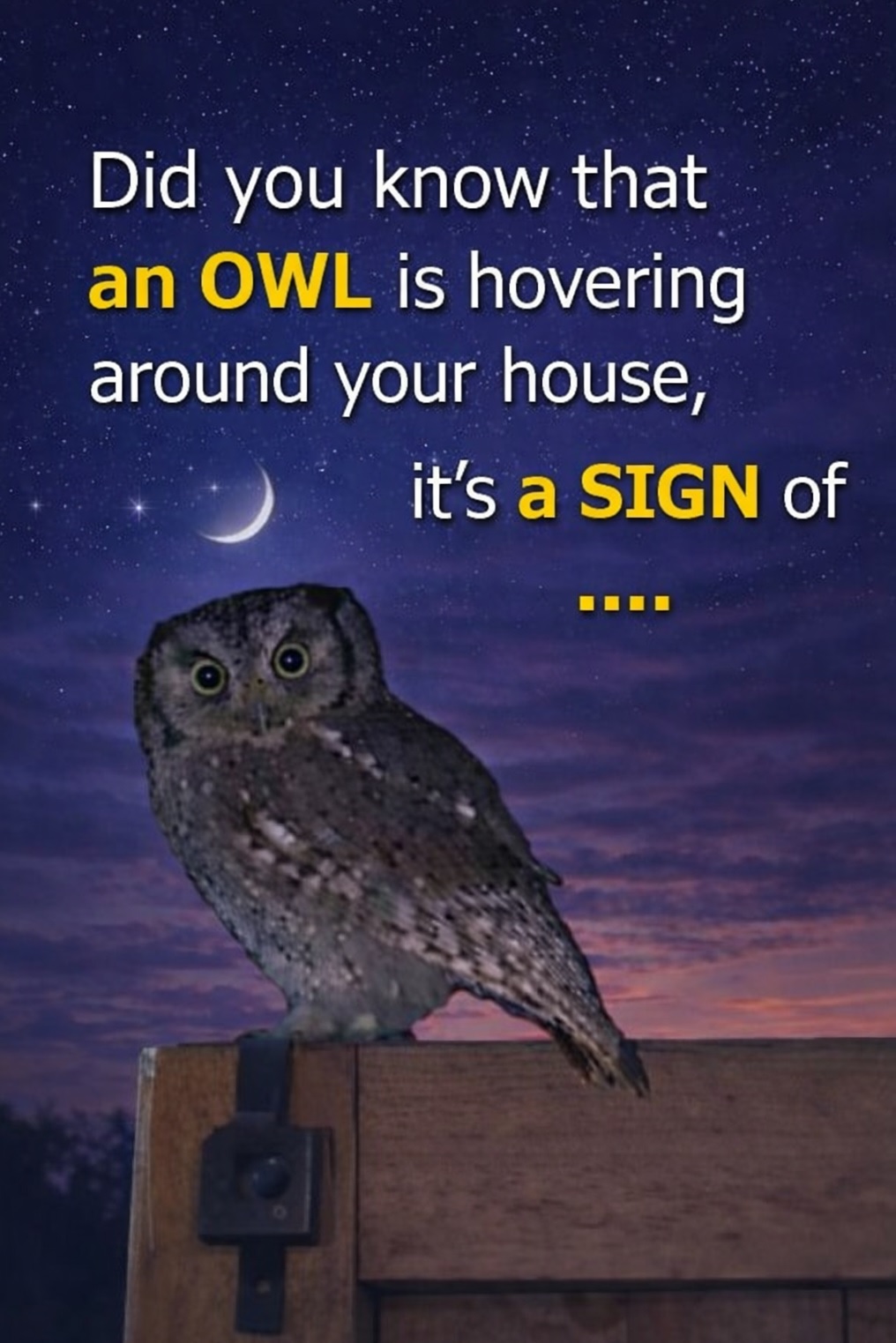 Did you know that an OWL is hovering around your house when … See more in comments 👇
