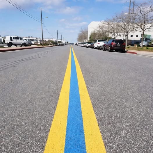 If You’ve Noticed A Blue Line Painted On The Street, Here’s What It Means😱I’m glad I know this now. Check the first comment👇
