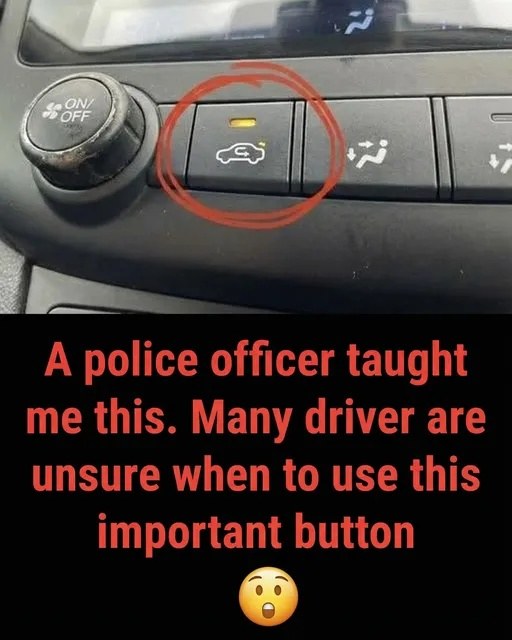 This is something every driver must know! 😱 (Check In First comment👇)
