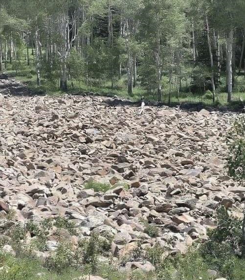 YOU HAVE A “SNIPER’S EYE” IF YOU CAN SPOT THE WOMAN IN THIS PICTURE! 🧐 Check the first comment for the answer 👇