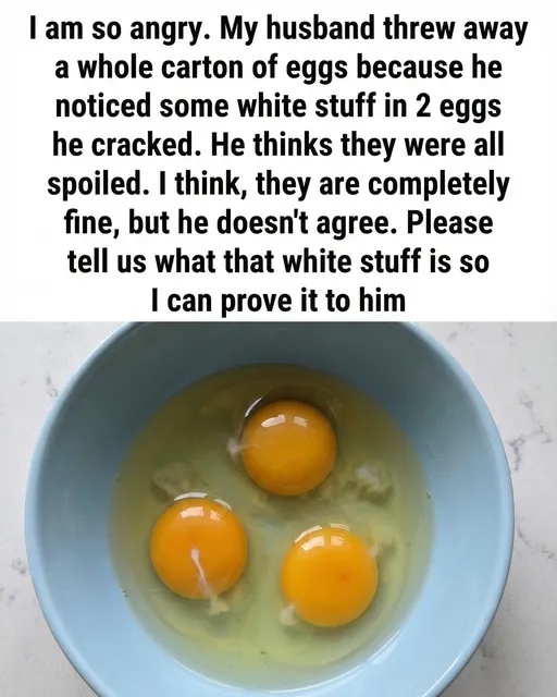 Ever noticed the white string in your egg? It’s not a flaw—here’s what it actually does, why it’s there, and why it means your egg is fresh 🥚👀