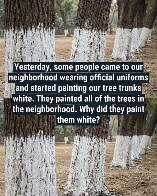 The Hidden Purpose Behind Painting Trees White — Most People Don’t Know This 🤯 (Check In First comment👇)