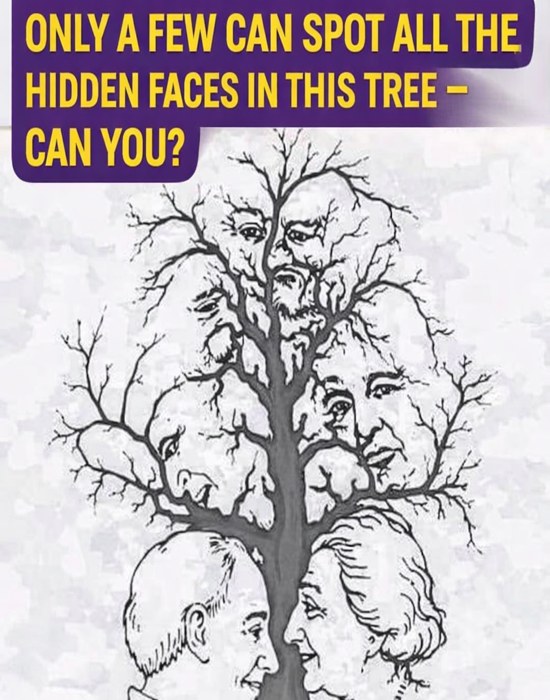 😳 Can You Spot ALL the Hidden Faces in This Optical Illusion in Under 10 Seconds? Only the Top 1% Can — Check the First Comment for the Answer 👇